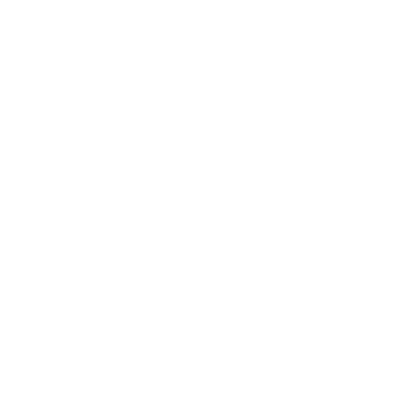 Salt & Light Project